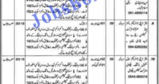 Government Jobs in Mines and Minerals Department Punjab