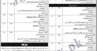 Quaid E Azam University Islamabad Jobs 2022