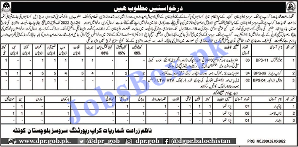 Agricultural Statistics Crop Reporting Services Balochistan Jobs 2022