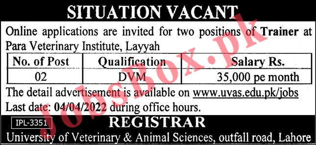 University of Veterinary and Animal Sciences UVAS Jobs 2022