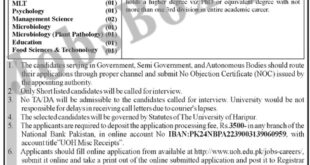 University of Haripur Jobs 2022 UOH Career Online Form Download