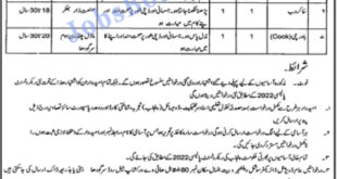 Social Welfare & Bait ul Maal Punjab Jobs 2022 April Recruitment