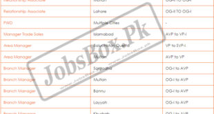 Punjab Bank BOP Jobs 2022 | Fill Online Form at bop.com.pk