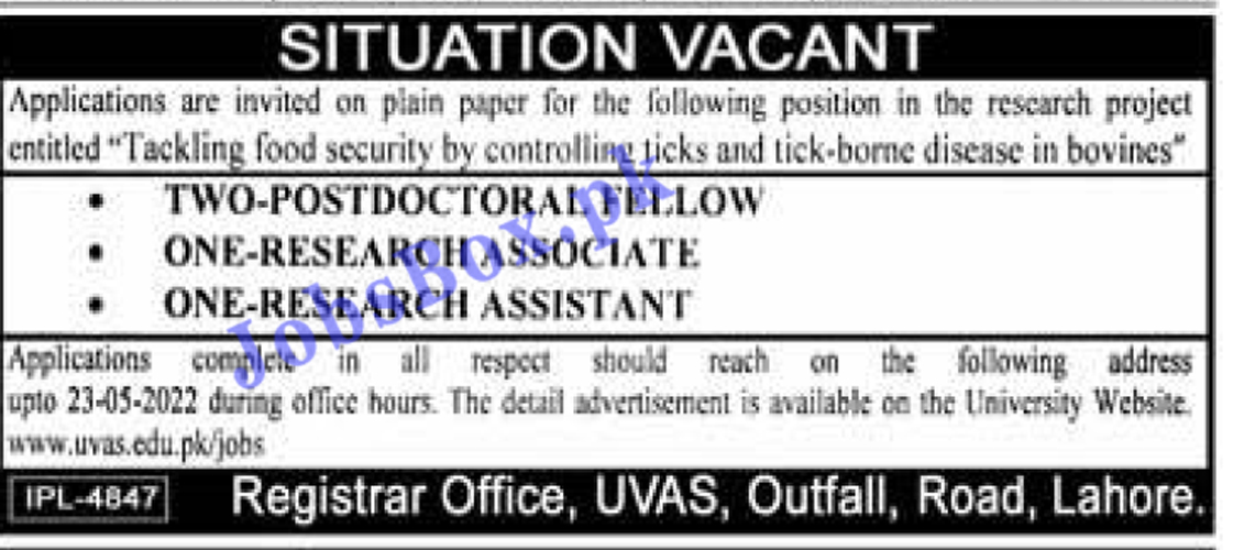UVAS Jobs 2022 for Research Project – May Advertisement