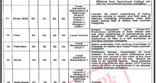 National Food Security and Research Ministry Jobs 2022