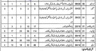 Directorate General Sports and Youth Affairs Punjab Jobs 2022