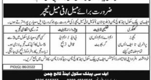 FC Public School and College Chaman Jobs 2022